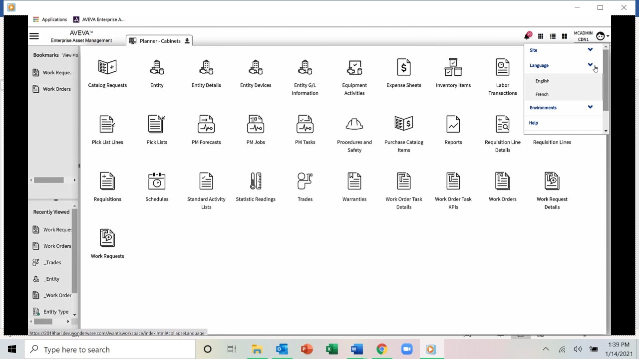 aveva-enterprise-asset-management